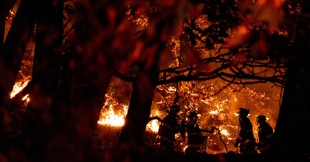 Featured image for NYC Grapples with Multiple Brush Fires in Manhattan and Queens