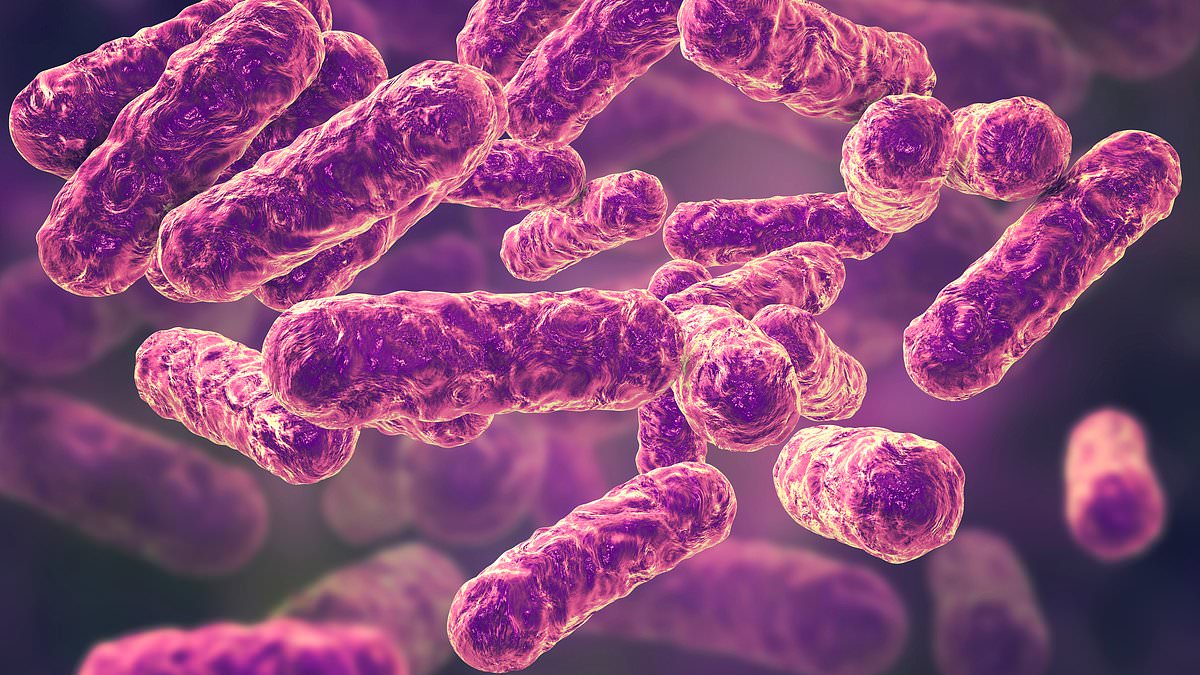 Unveiling the Germ-Filled Hot Spots on Your Body