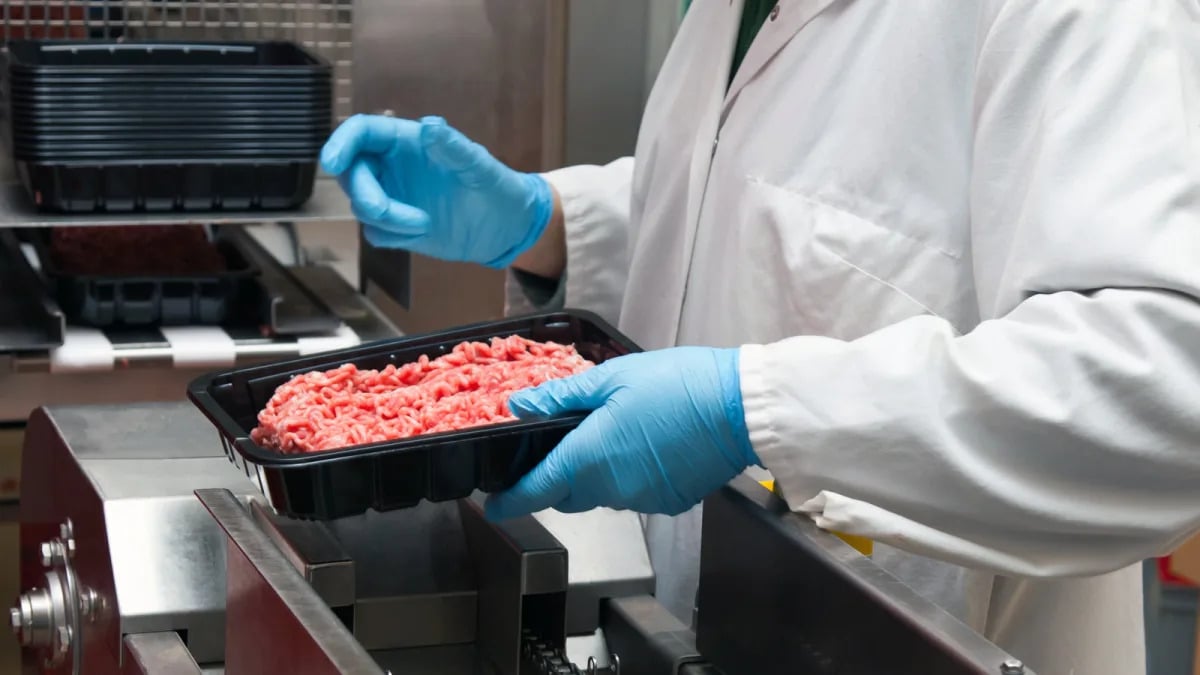 Featured image for Massive Ground Beef Recall Issued Due to E. Coli Outbreak