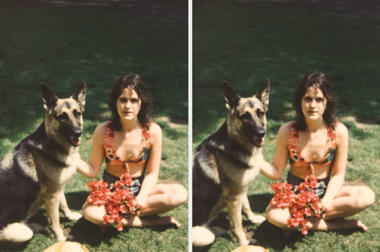 Featured image for Essential Tips for Recognizing and Preventing Dog Illnesses