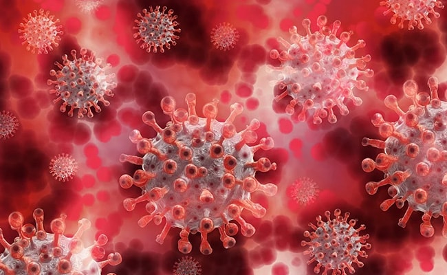 COVID-19 Causes Brain Damage in Infants Infected in Womb: Study