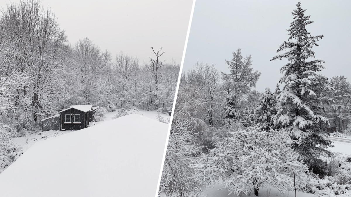 Winter Storm Blankets New England, Causing School Closures and Power Outages