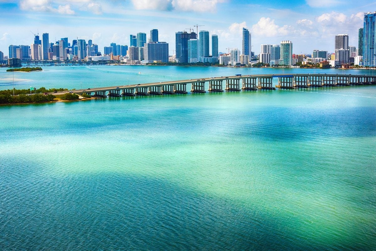 Featured image for Biscayne Bay: A Crucial Habitat for Juvenile Hammerhead Sharks
