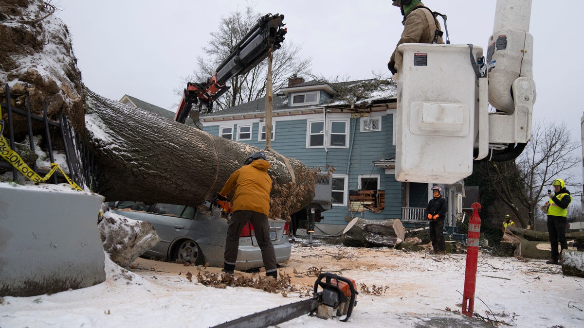 Featured image for "Deadly Oregon Ice Storm: Power Line Kills 3, Injures Baby"