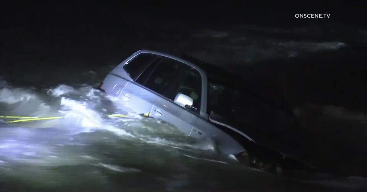 Driver evades police, drives into ocean with dogs in Los Angeles