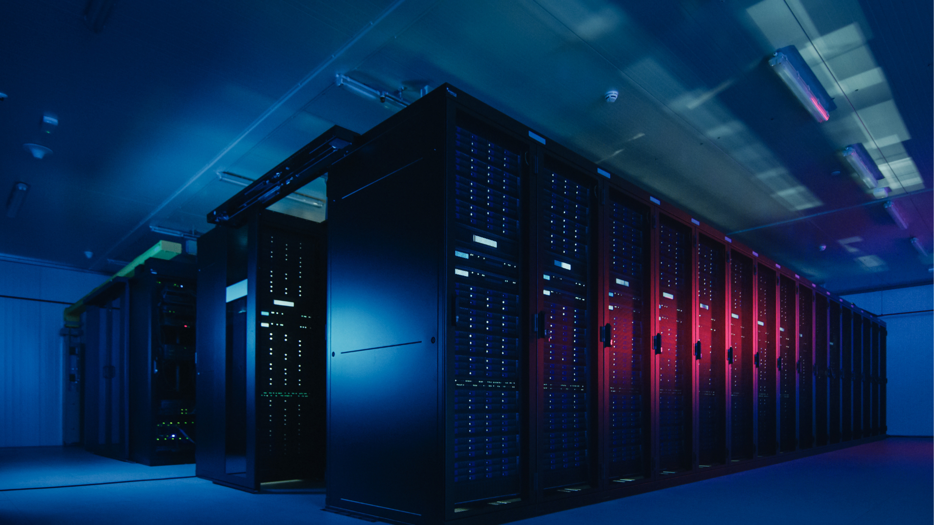 Elon Musk to Build xAI Supercomputer 'Gigafactory of Compute' by 2025