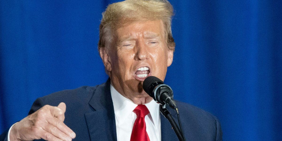 "Nikki Haley Ends Trump's Winning Streak with DC Primary Victory"