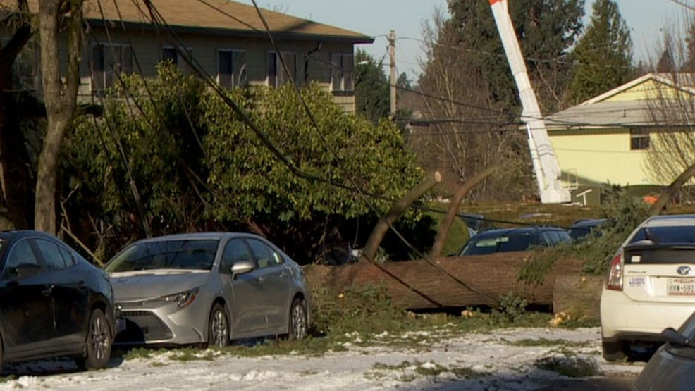 "Winter Storm Fallout: Power Outages and Shortages Persist in Oregon Community"