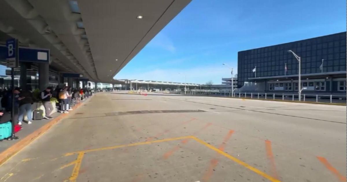 Featured image for Pro-Palestinian Protesters Cause Traffic Disruption at O'Hare Airport