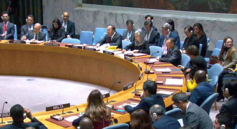 "UN Security Council Urges Immediate Humanitarian Pauses in Gaza to End Carnage"
