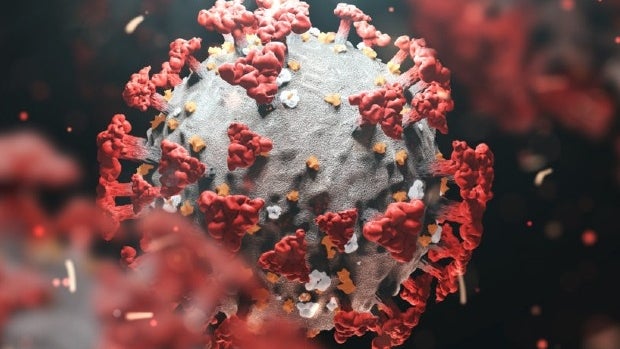 Featured image for Uncovering the Role of "Zombie" Viral Fragments in Severe COVID-19 Cases