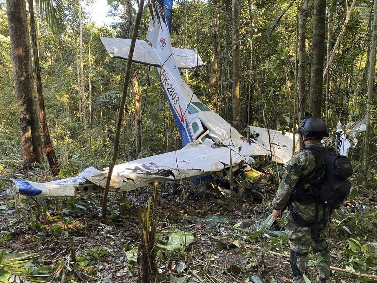 "Survival Against All Odds: The Incredible Story of Four Children in the Amazon Jungle"