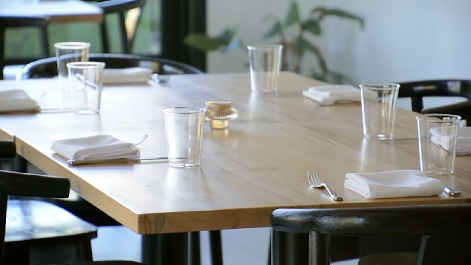 North Carolina and Southern States Celebrate Michelin Star Achievements