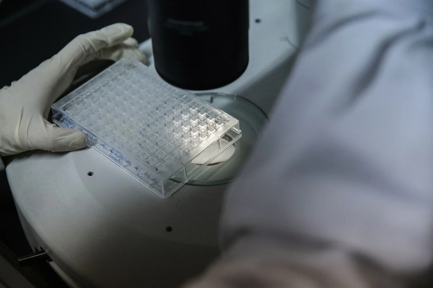 AI Flood Threatens Trust in Scientific Publishing