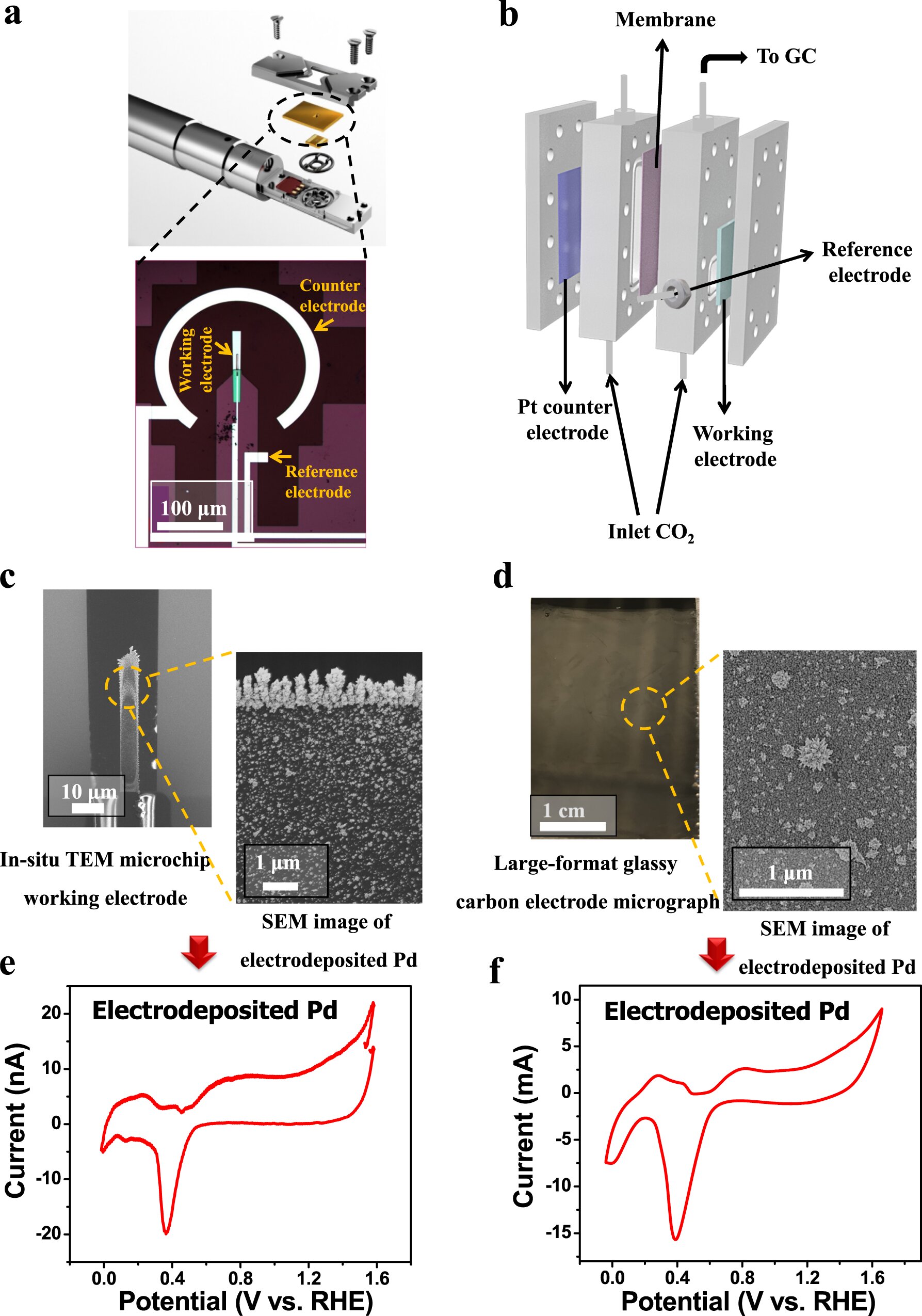 Featured image for "Uncovering the Key Bottleneck in Converting Carbon Dioxide Waste into Usable Products"