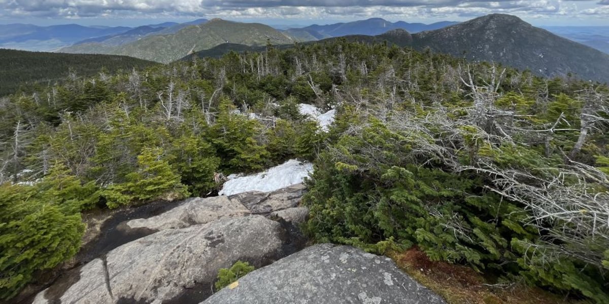 "Eclipse Viewing Preparations in New York: Weather, Bookings, and Caution"