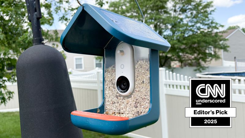 Featured image for Bird Buddy Smart Feeder Revolutionizes Yard Watching