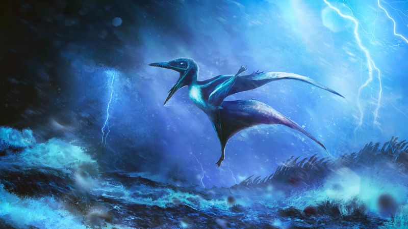 Featured image for Jurassic Storms: The Fate of Baby Pterosaurs