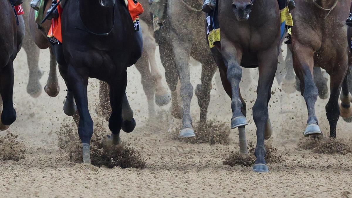 "Kentucky Derby track under scrutiny after multiple horse deaths"