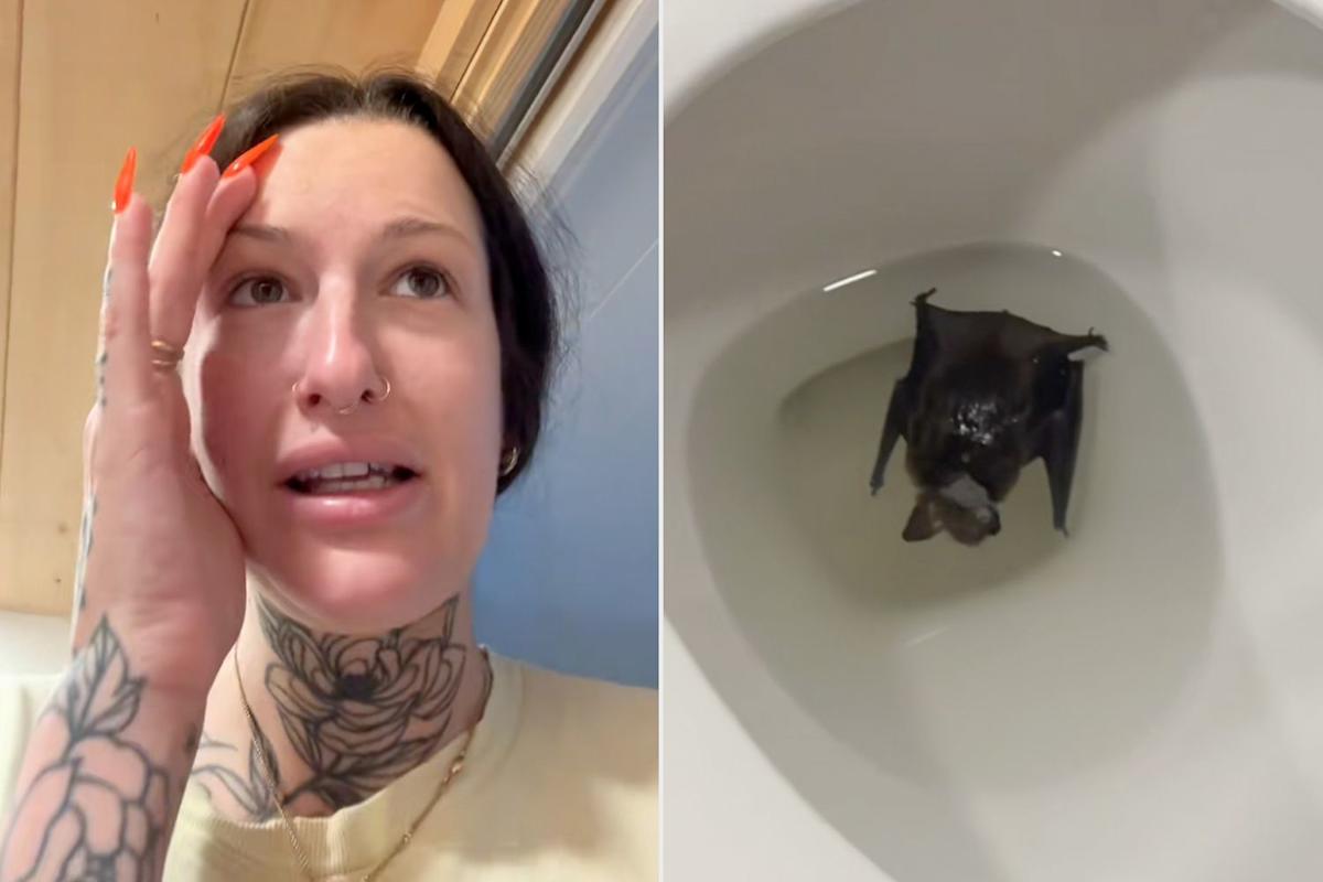 Featured image for Woman's Bathroom Visit Turns Emergency After Rabies Risk