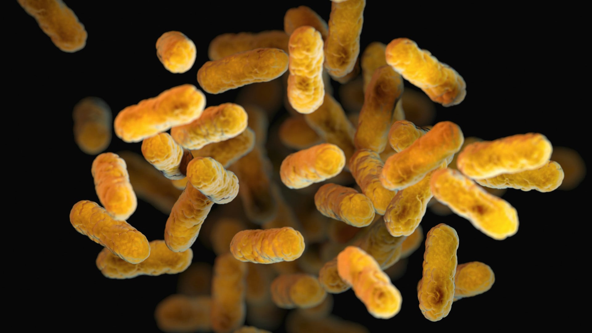 Featured image for Louisiana Delayed Warning During Severe Whooping Cough Outbreak