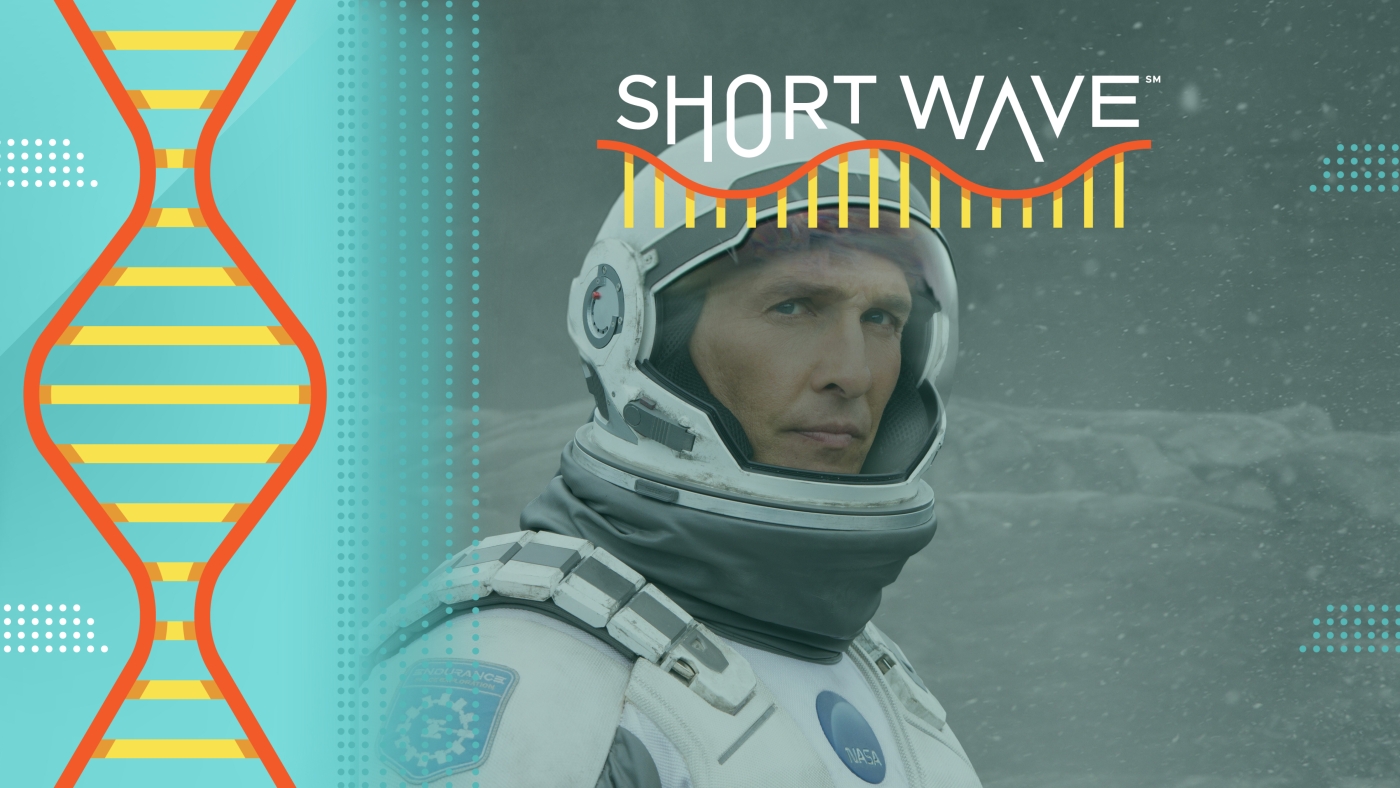 Featured image for Interstellar's Black Hole Sets Hollywood Standard for Accuracy