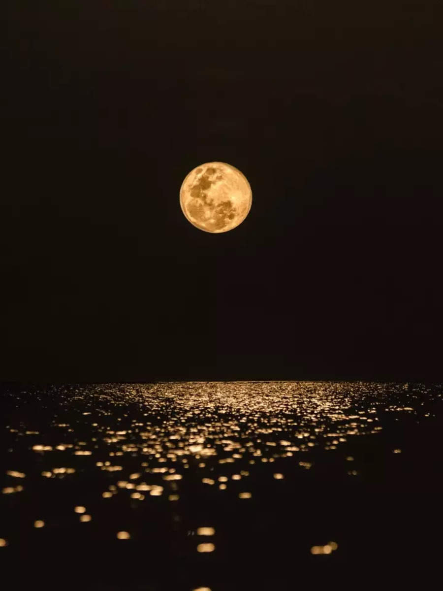 "Mark Your Calendars: October 2023 Brings Spectacular Celestial Events"