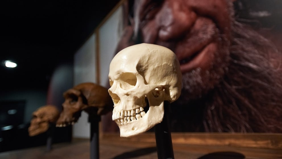 Featured image for Landscape Shifts: The Driving Force Behind Early Human Speech Development