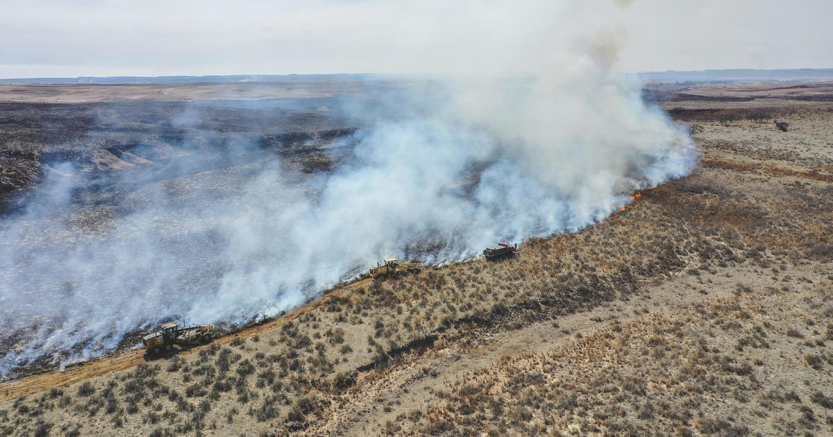 "Texas Firefighters Battle Largest Wildfire, Ranchers Face Crippling Losses"