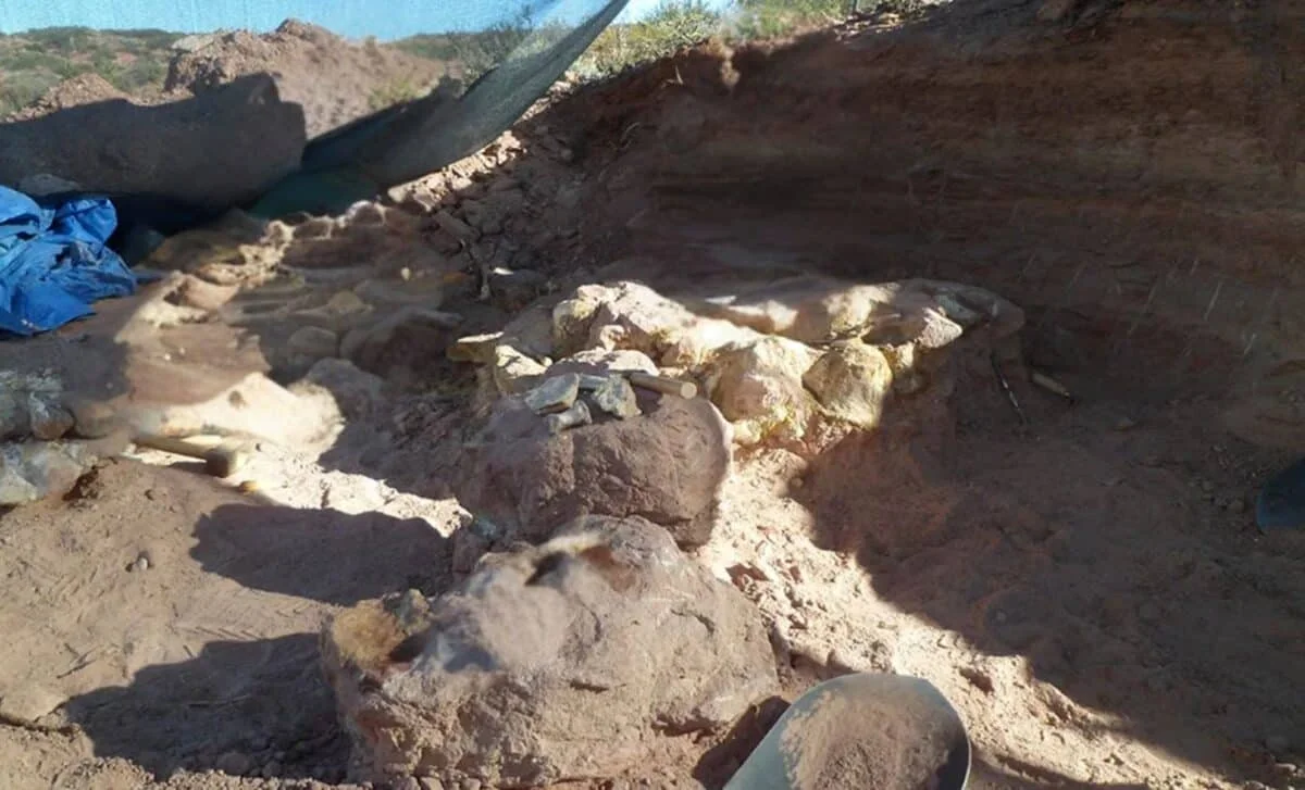 Patagonian Titanosaur Yeneen houssayi Upends Titanosaur Evolution