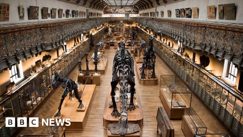 Featured image for Woman Charged in €1.5M Gold Theft from Paris Museum