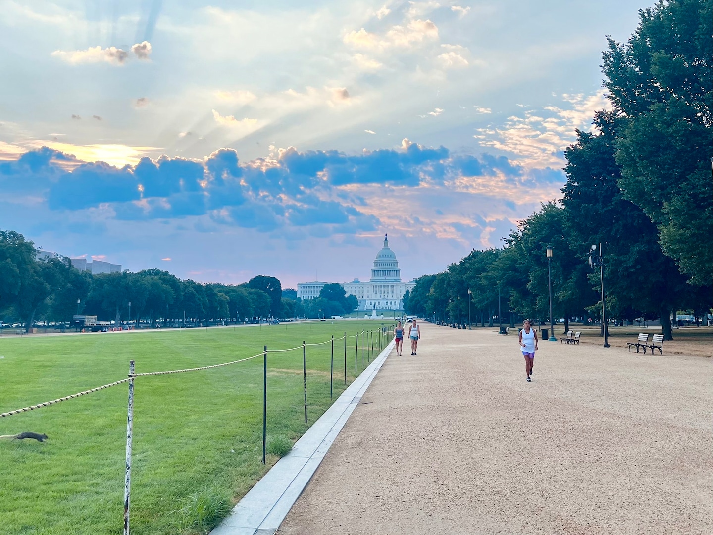 Record Heat and Severe Storms Hit DC Area