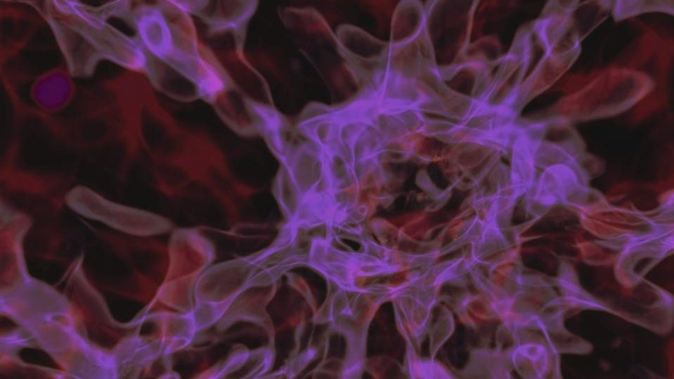 "JWST Unravels Black Hole Mysteries in Early Universe"