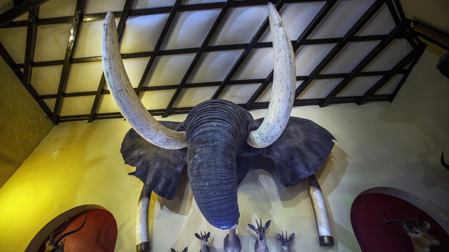 Featured image for "Global Decline: Migratory Species Facing Extinction Due to Human Impact"