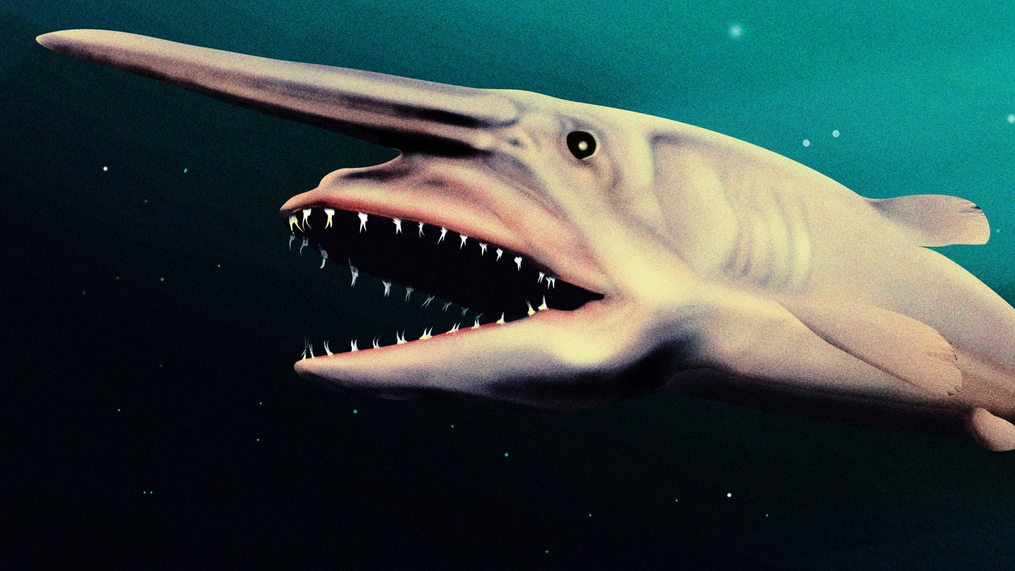 Featured image for Goblin Shark Photo Mystery Solved as Toy Discovered.
