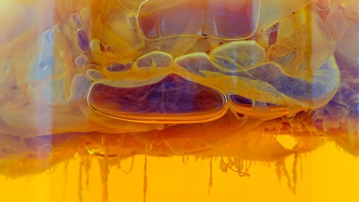 Life May Have Begun in Sticky Prebiotic Gels