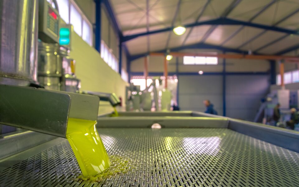 Global Food Prices Soar: Olive Oil and Potato Prices Reach Record Highs
