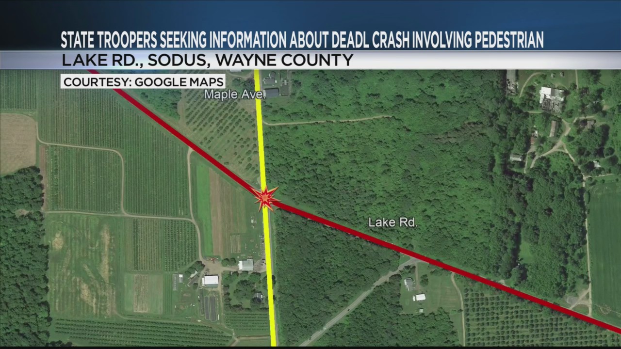 "Help Needed: Wayne County Police Seek Information on Fatal Crash"