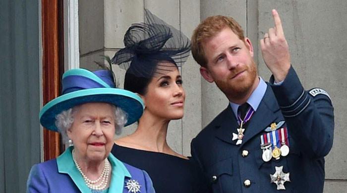 "Queen Elizabeth's Concerns for Meghan and Harry's Security Revealed in Letter"