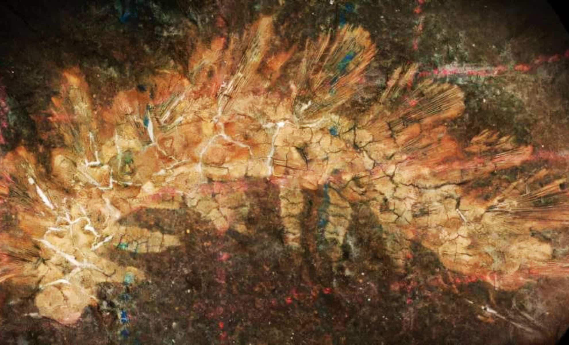 Featured image for Ancient Fossil Misidentified as Caterpillar Reveals New Land-Lobopodian Species