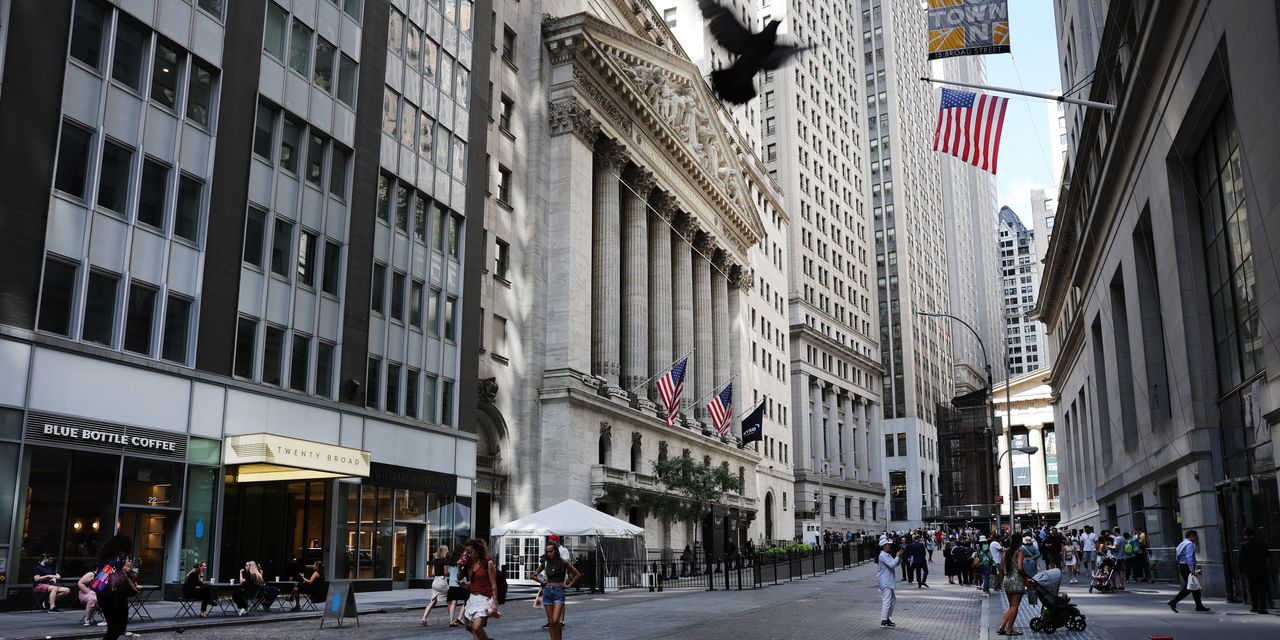 Featured image for Bearish Hedge Funds Crushed as Stock-Market Rally Surprises