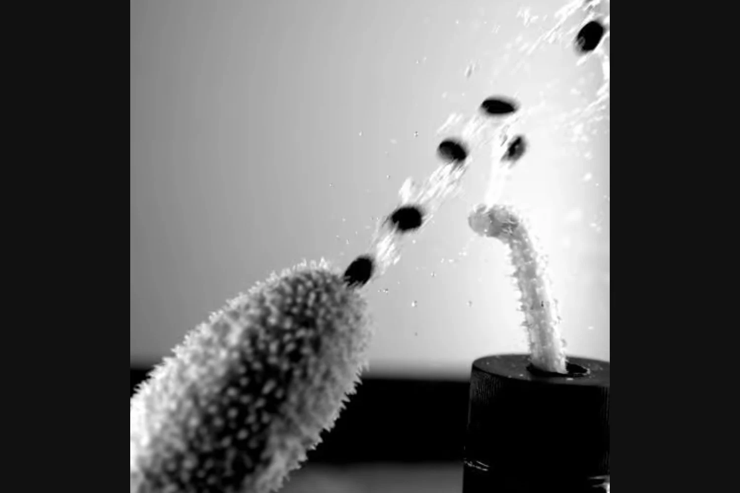 Featured image for Unveiling the Explosive Seed Launch of Squirting Cucumbers