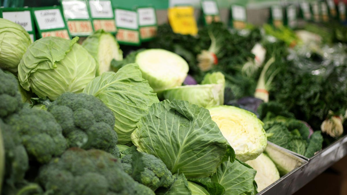 Featured image for "Capitalizing on the Healing Power of Food: A Lucrative Business Venture"