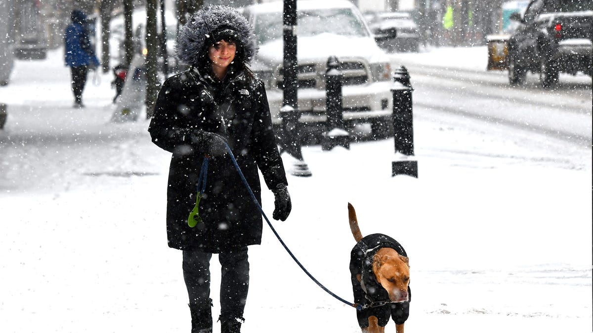 "US Braces for Widespread Snow and Ice as Arctic Air Blast Approaches"