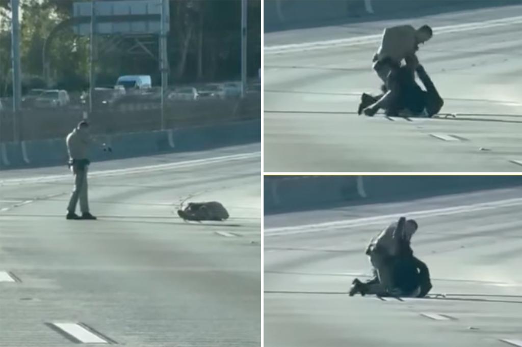 Fatal Shooting on LA Freeway: CHP Officer's Struggle Caught on Camera