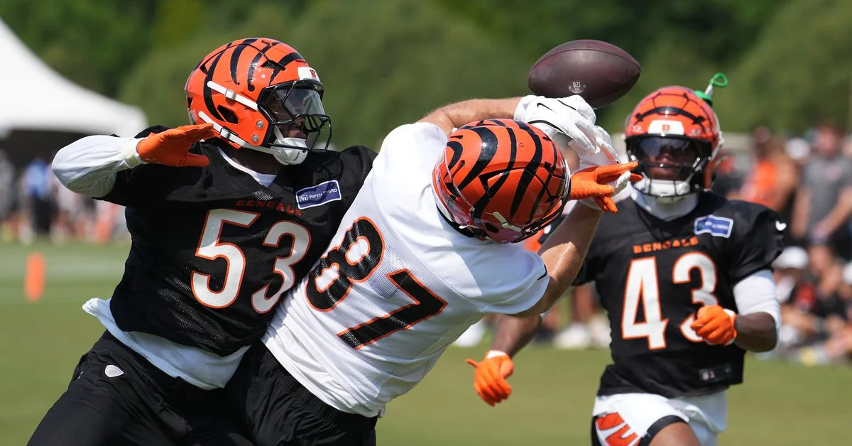 Key Highlights and Battles from Bengals Training Camp