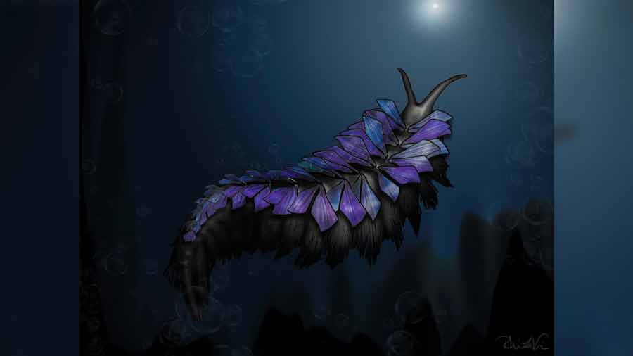 Featured image for Ancient Sea Worm Unearthed on Idaho-Utah Border