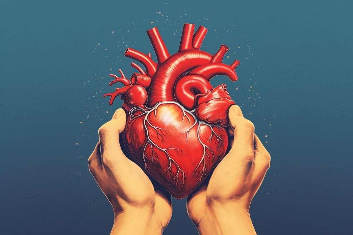 Featured image for The Heart's Influence on Gut Instincts.