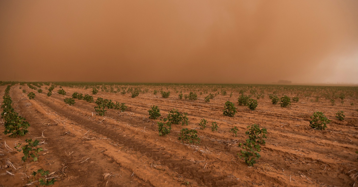 Featured image for Texas Heatwave: Arctic Sizzling Sends Temperatures Soaring.