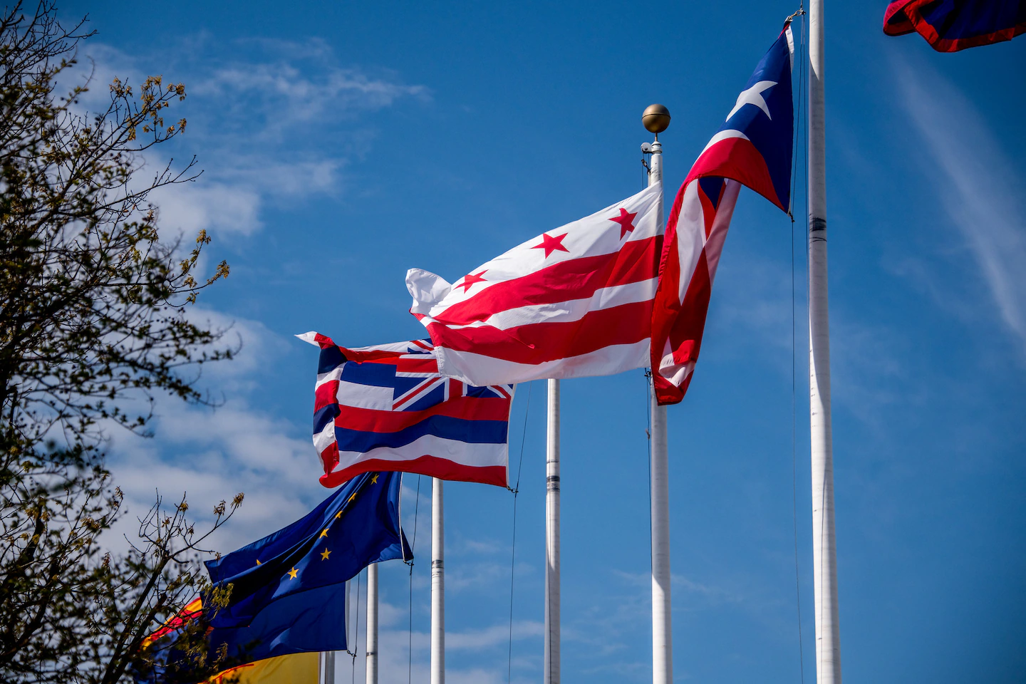 Featured image for Halloween Weather: Windy Conditions and Rain Expected Nationwide
